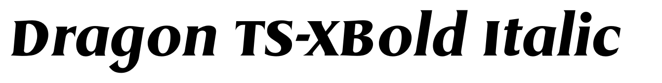 Dragon TS-XBold Italic